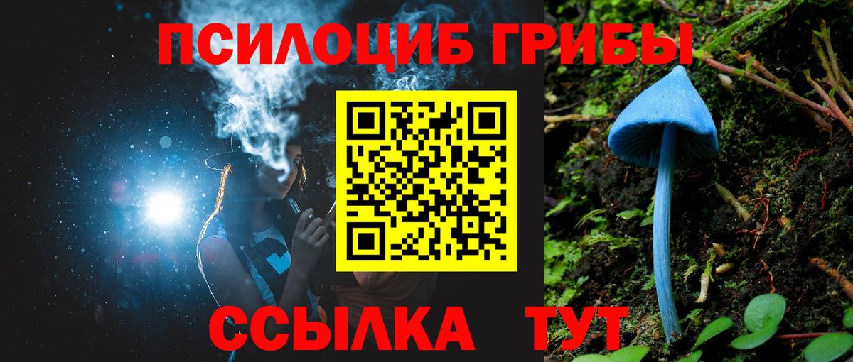 Псилоцибиновые грибы Psilocybine cubensis Джанкой