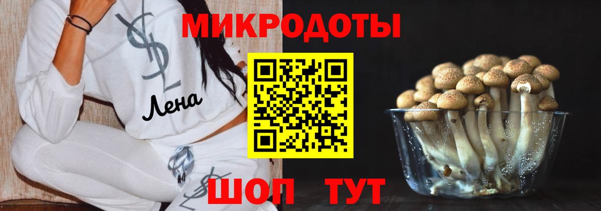 Псилоцибиновые грибы GOLDEN TEACHER  Вход с VPN  Джанкой 